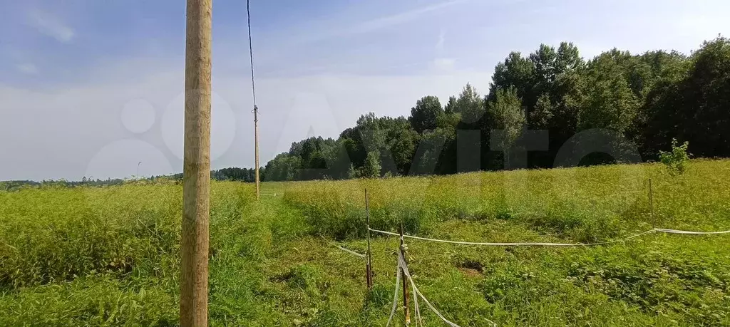 Участок 12 сот. (ИЖС) - Фото 0