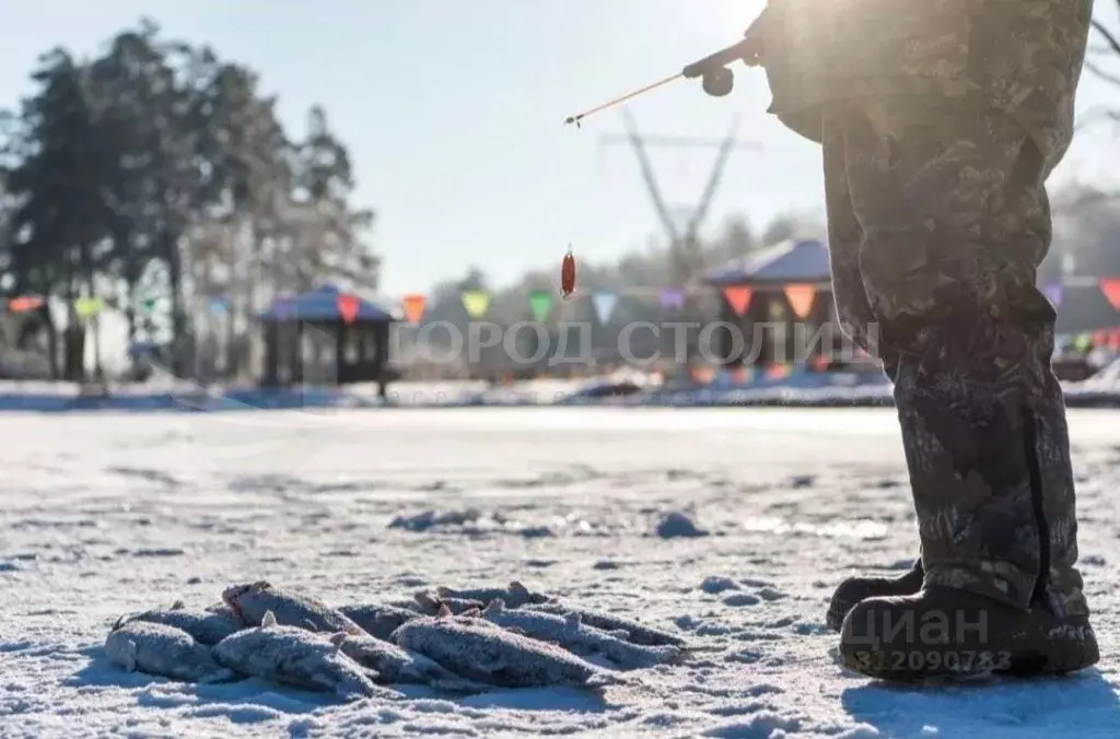 Участок в Московская область, Ленинский городской округ, д. Жабкино ... - Фото 0