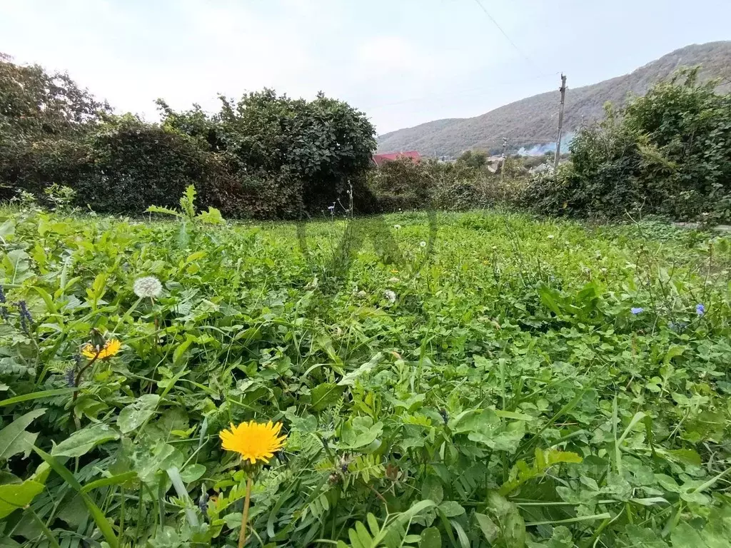 Участок в Краснодарский край, Туапсинский муниципальный округ, ... - Фото 1