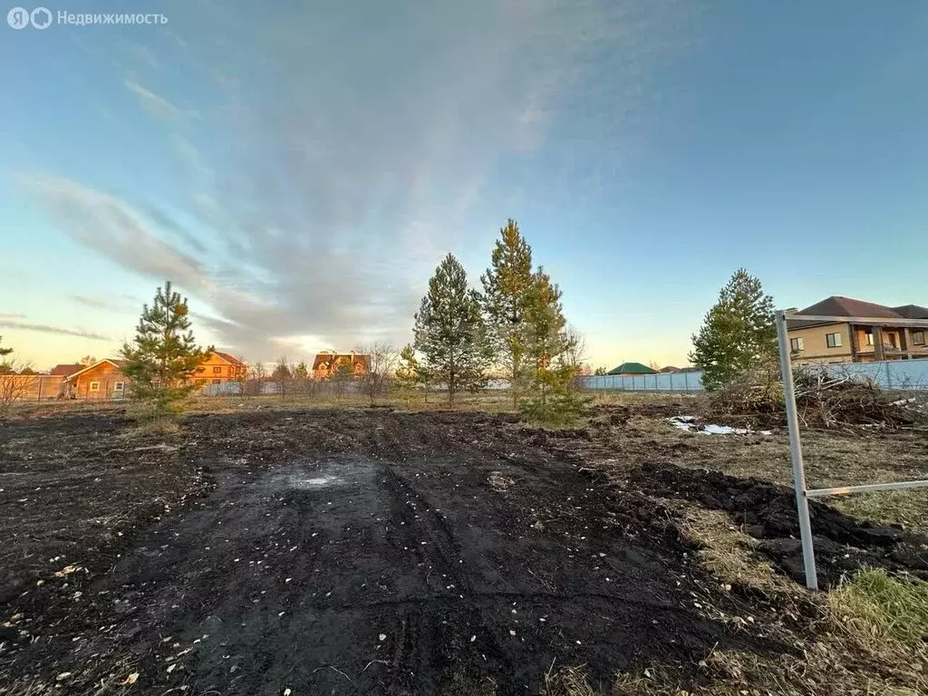 Участок в Тюмень, ДНП Звенящие Кедры Тюмени (11.99 м) - Фото 2