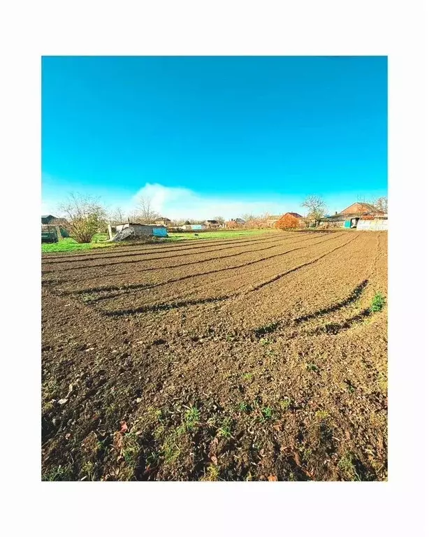 Участок в Краснодарский край, Калининский район, Старовеличковское ... - Фото 1