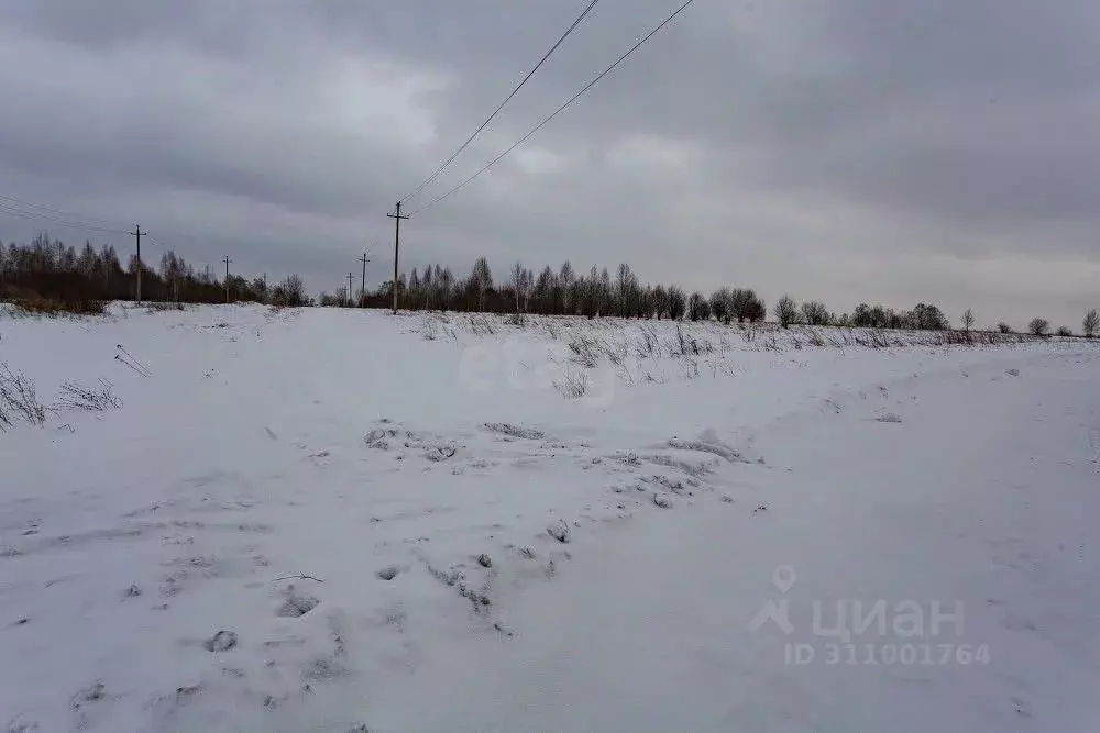 Участок в Кемеровская область, Новокузнецкий муниципальный округ, с. ... - Фото 1