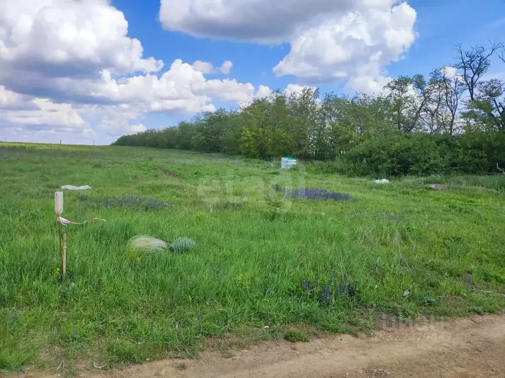 Участок в Ростовская область, Аксайский район, Большелогское с/пос, ... - Фото 1