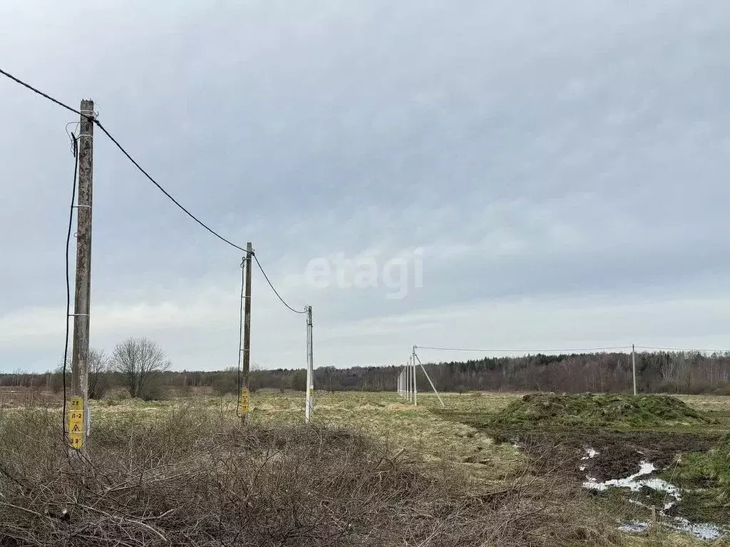 Участок в Калининградская область, Гурьевский муниципальный округ, ... - Фото 0