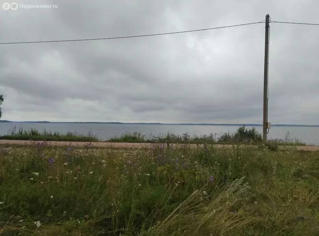 Участок в Куньинский район, Каськовская волость (15 м) - Фото 2