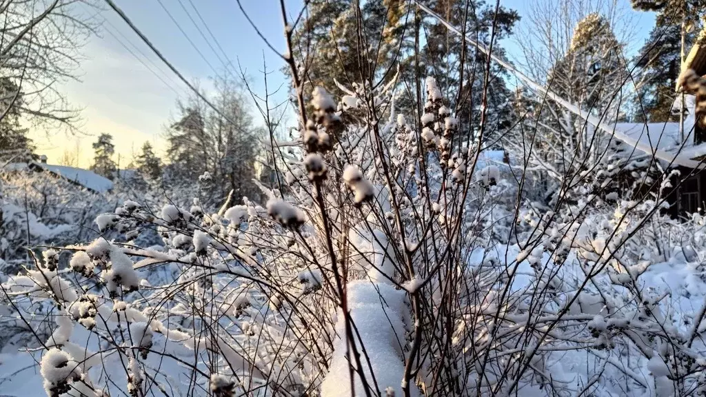 Дом в Ленинградская область, Гатчинский муниципальный округ, Вырица ... - Фото 2