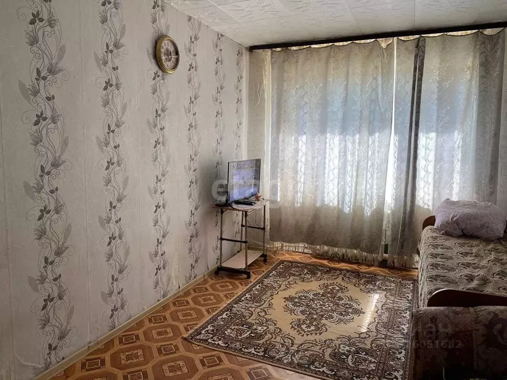 1-к кв. Камчатский край, с. Мильково ул. Дорожная, 14 (29.2 м) - Фото 2