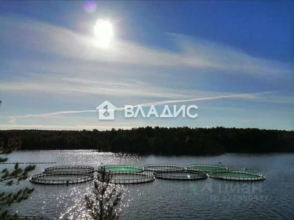 Помещение свободного назначения в Карелия, Кондопожский район, ... - Фото 1