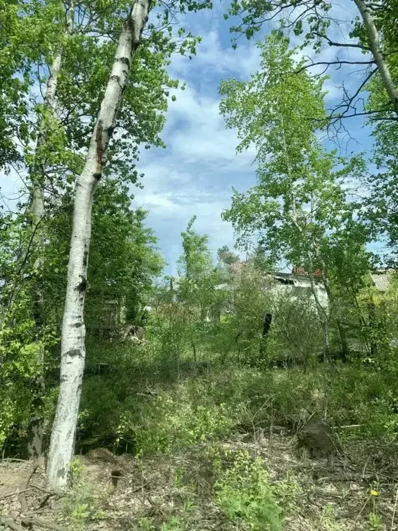 Дом в Хабаровский край, Хабаровский район, Смирновка СДТ ул. Ягодная ... - Фото 1
