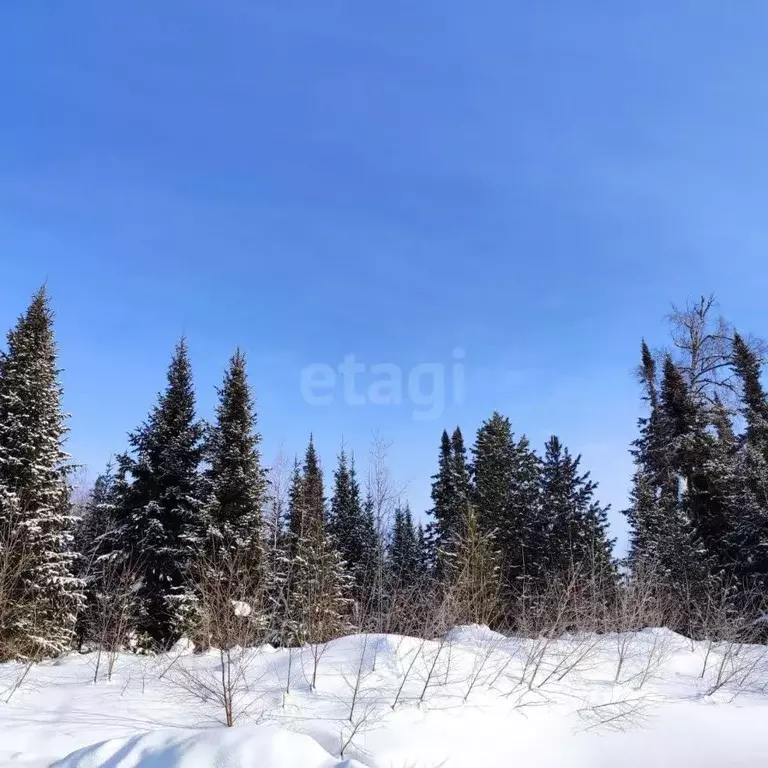 Участок в Кемеровская область, Таштагол Каменушка мкр,  (15.0 сот.) - Фото 1