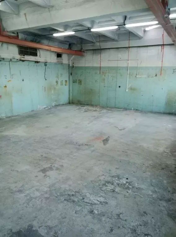 Склад в Санкт-Петербург Новочеркасский просп., 1И (102 м) - Фото 2