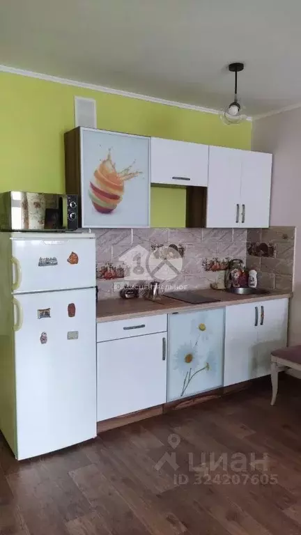 Студия Новосибирская область, Новосибирск ул. Фадеева, 66/9 (27.83 м) - Фото 1