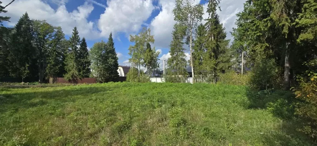 Участок в Московская область, Щелково городской округ, Жемчужная тер.  ... - Фото 1