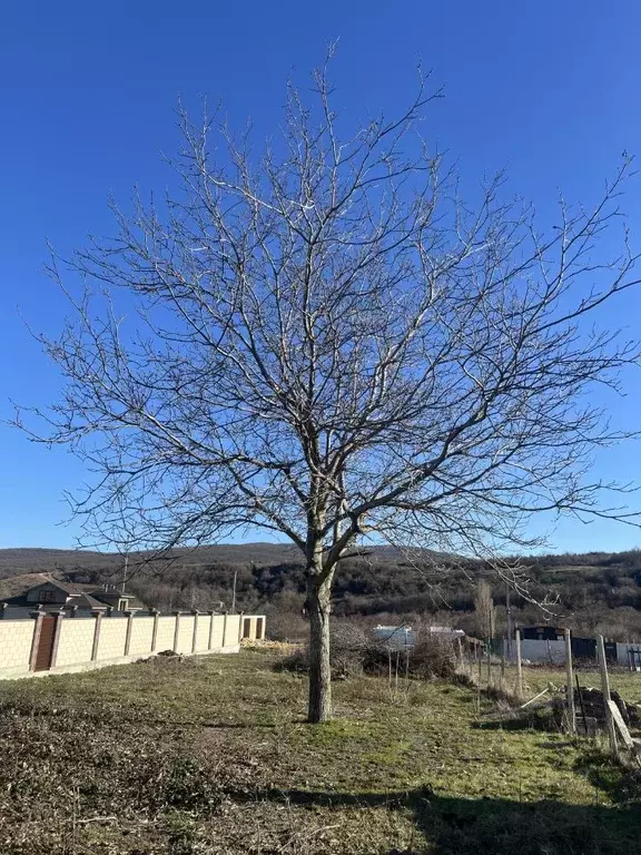 Участок в Крым, Кировский район, Первомайское с/пос, с. Изюмовка, Под ... - Фото 2