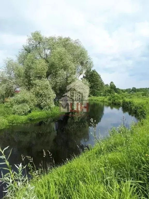 Участок в Тверская область, Конаковский муниципальный округ, д. Крутец ... - Фото 1