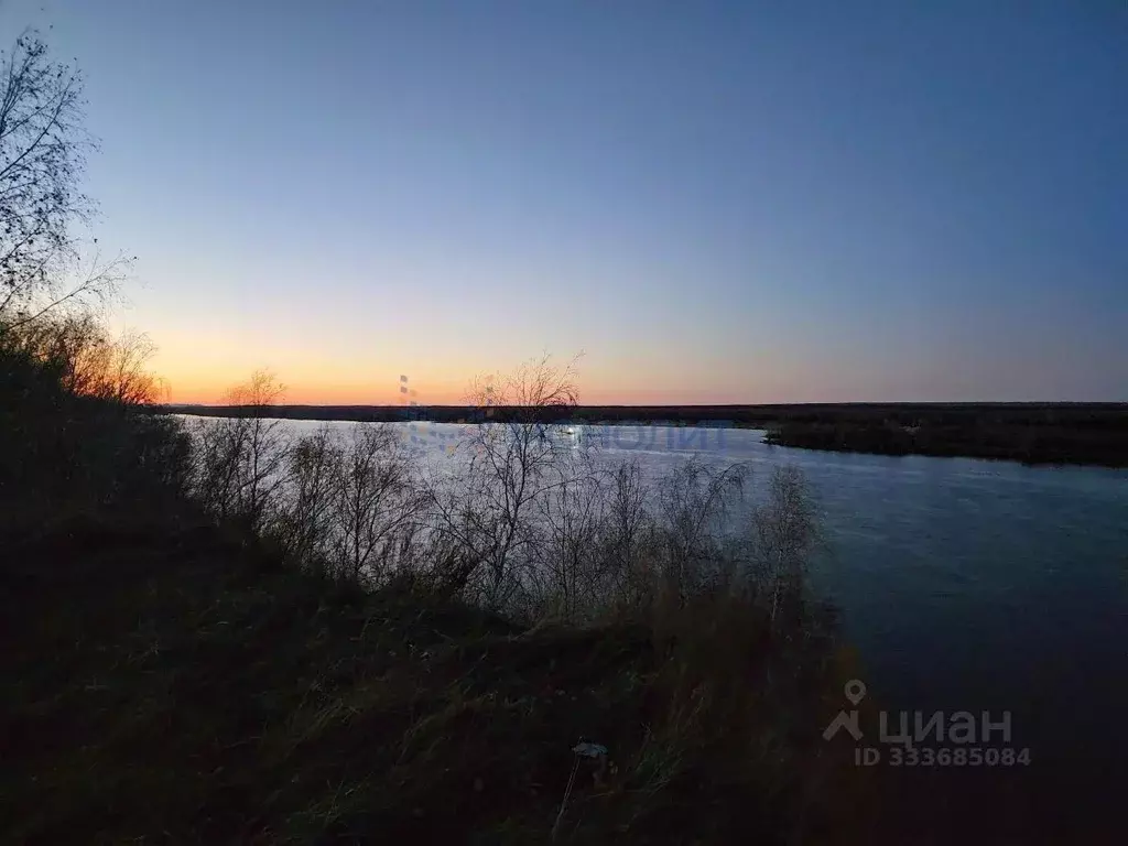 Участок в Нижегородская область, Нижний Новгород городской округ, д. ... - Фото 1