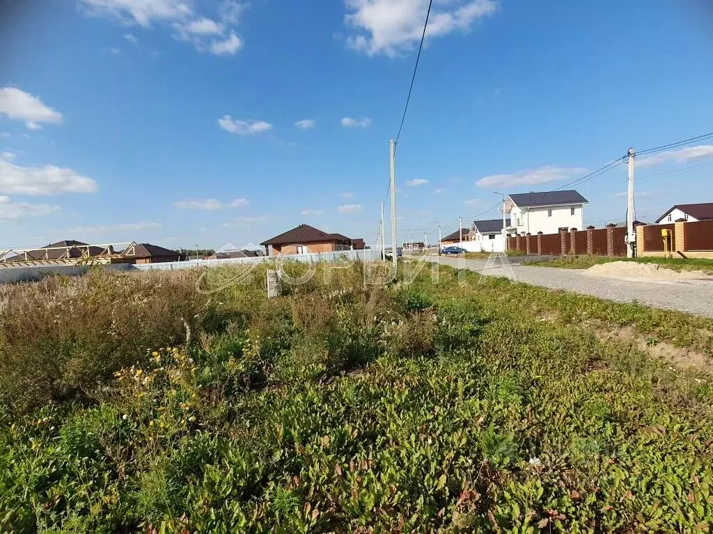 Участок в Тюменская область, Тюменский муниципальный округ, с. Успенка ... - Фото 2