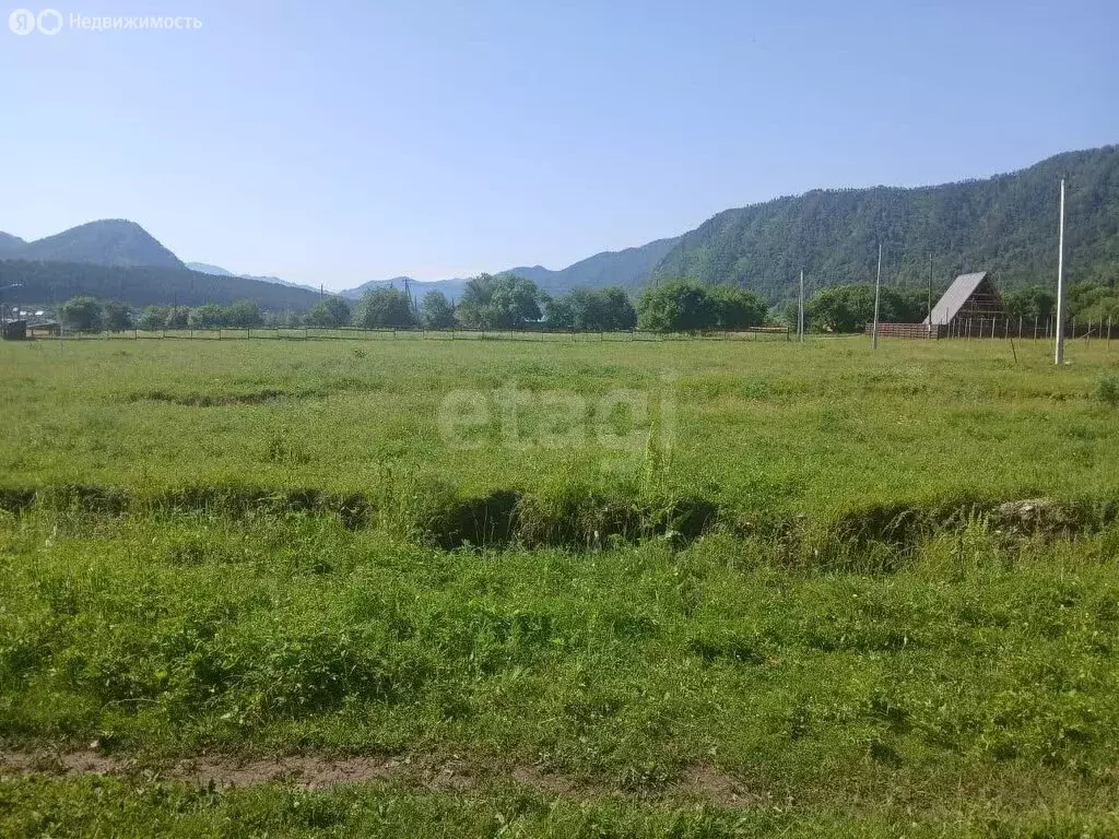 Участок в Чемальский район, село Анос (10 м) - Фото 0