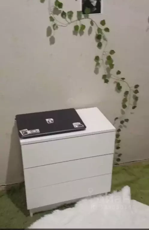 Комната Санкт-Петербург ул. Ломоносова, 14 (11.0 м) - Фото 2