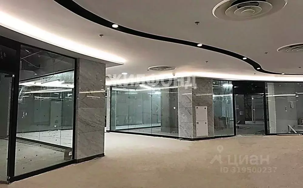 Помещение свободного назначения в Москва Новинский бул., 8 (249 м) - Фото 1