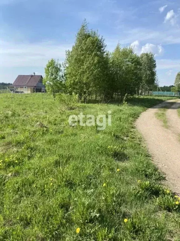 участок в ленинградская область, лодейнопольский район, янегское . - Фото 1