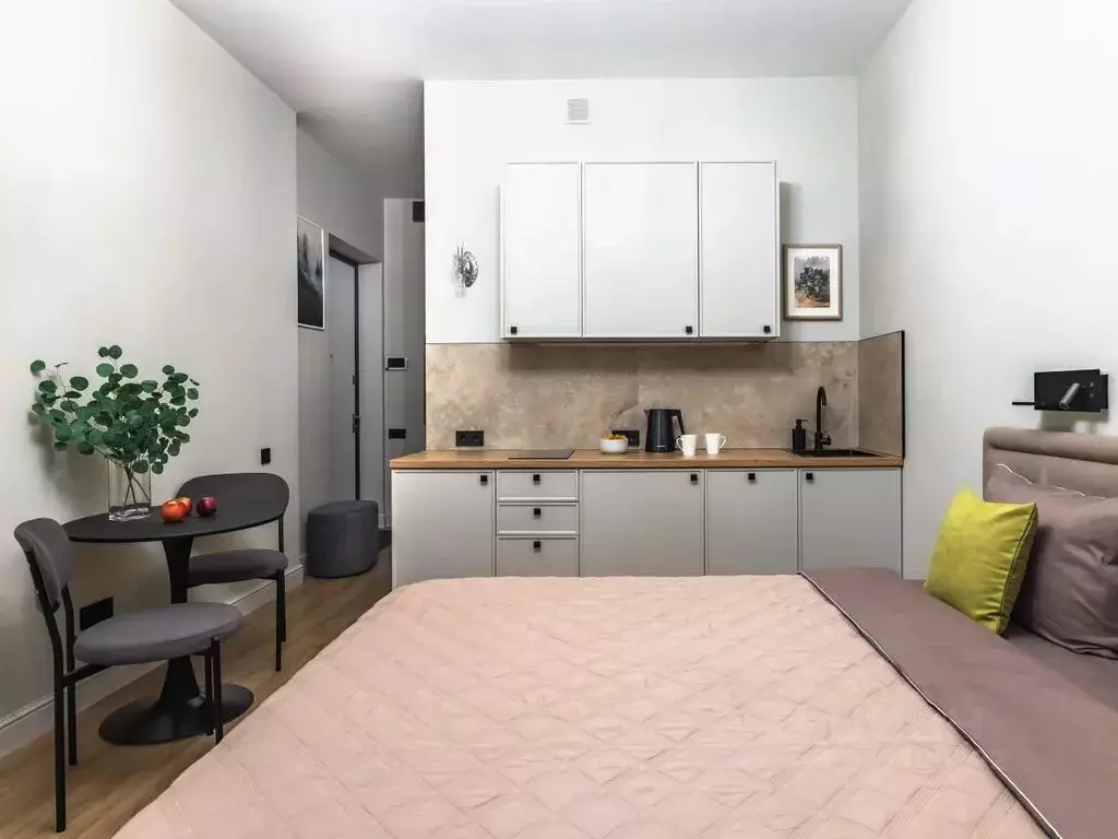 Студия Санкт-Петербург Ремесленная ул., 15 (23.0 м) - Фото 2