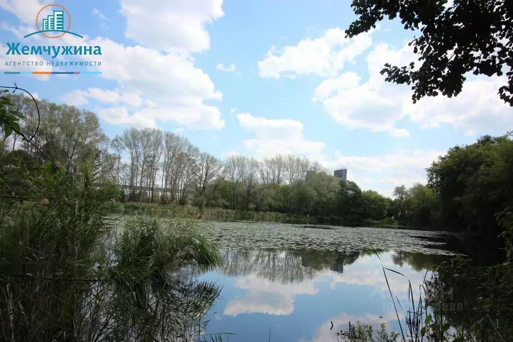 Участок в Ульяновская область, Димитровград Мукомольная ул., 25 (8.5 ... - Фото 1