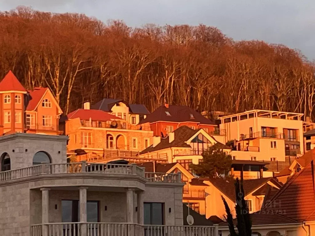 Студия Краснодарский край, Сочи Курортный просп., 96Г (31.0 м) - Фото 2