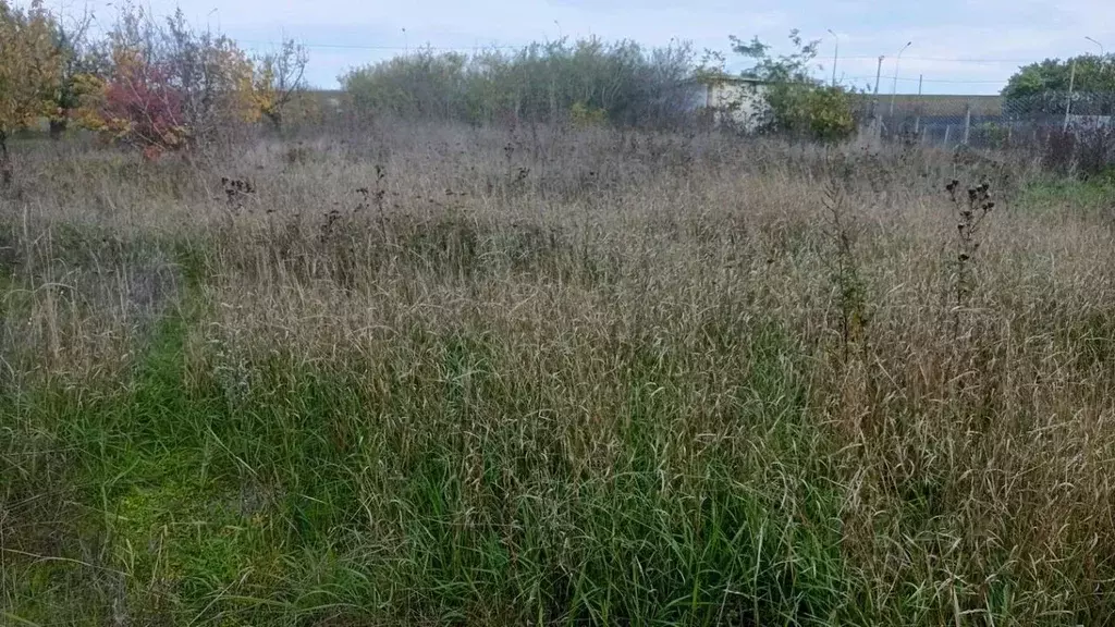 Участок в Краснодарский край, Анапа муниципальный округ, Заря хут. ул. ... - Фото 2