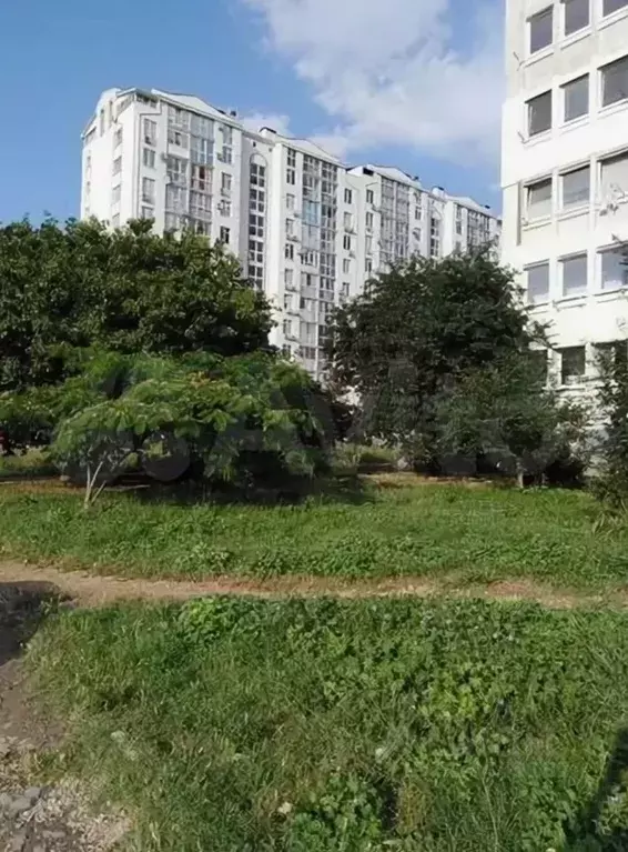 1-к кв. Севастополь просп. Октябрьской Революции, 22/6 (28.0 м) - Фото 0
