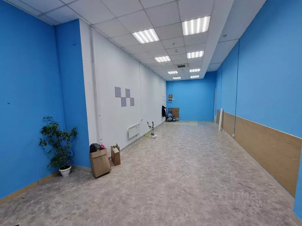 Офис в Красноярский край, Красноярск ул. Карла Маркса, 95к1 (39 м) - Фото 1