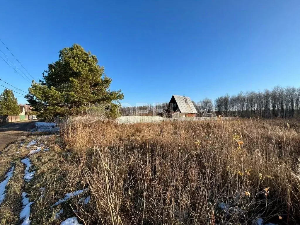 Участок в Тюменская область, Нижнетавдинский район, Геофизик 2 СНТ  ... - Фото 0