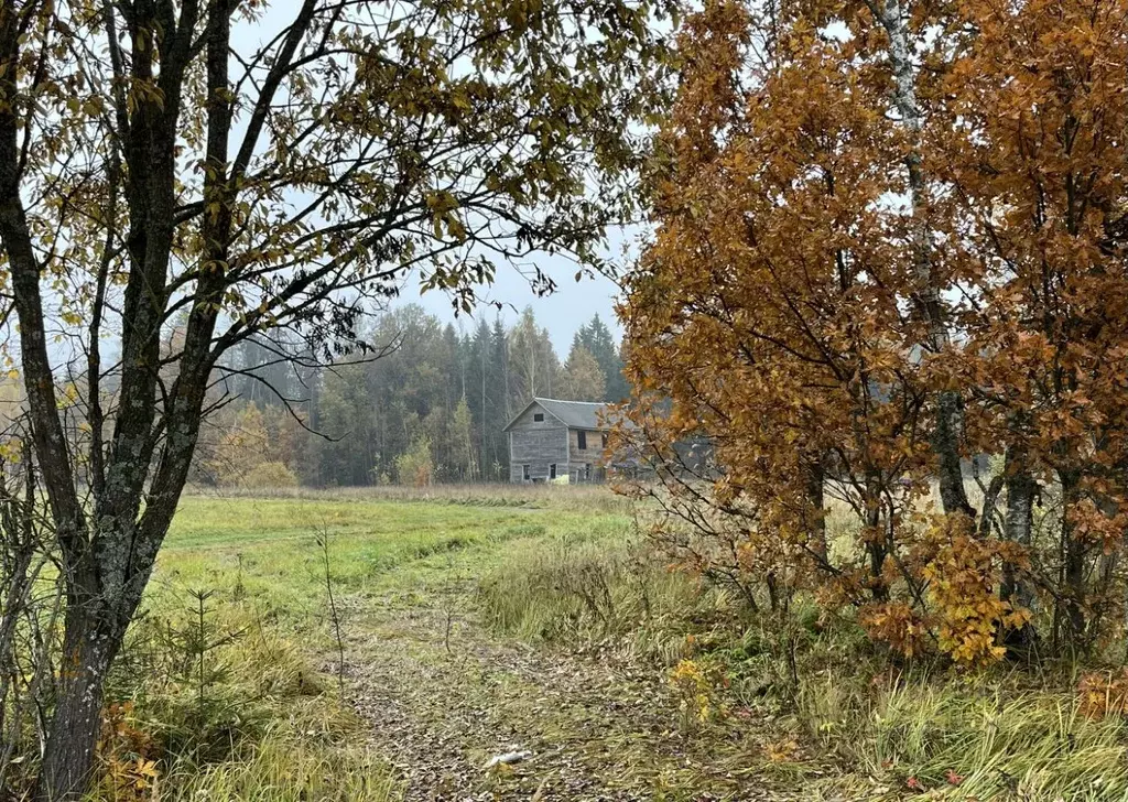 Участок в Московская область, Клин городской округ, д. Тиликтино  ... - Фото 1