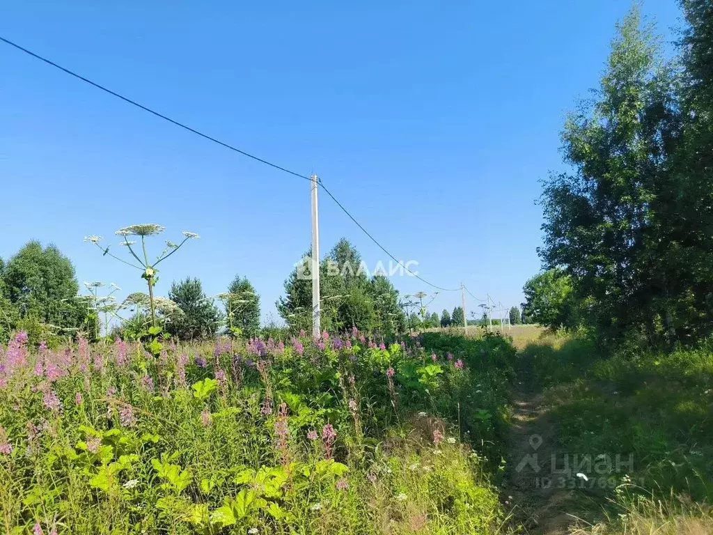 Участок в Пермский край, Пермский муниципальный округ, пос. Красный ... - Фото 2