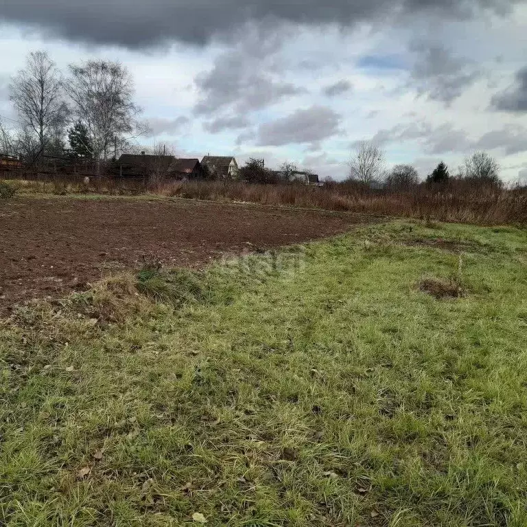 Участок в Ярославская область, Тутаевский муниципальный округ, ... - Фото 1