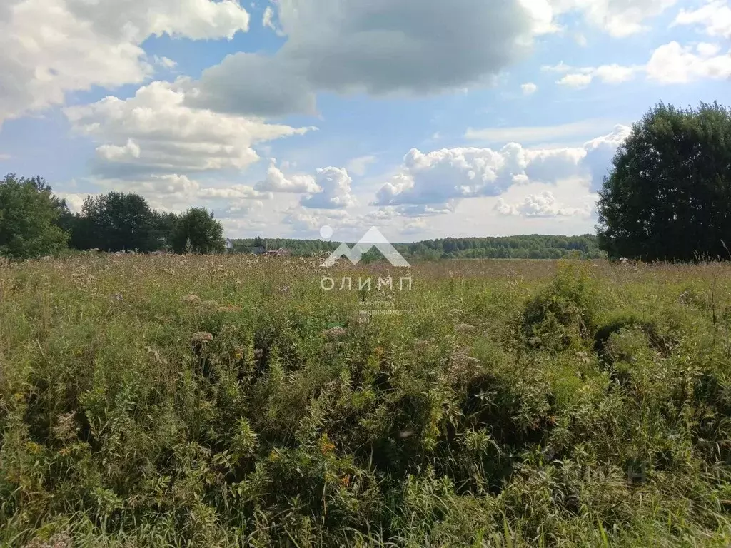 Участок в Вологодская область, с. Погорелово ул. Центральная (29.0 ... - Фото 1