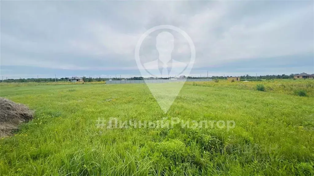 Участок в Рязанская область, Рязанский муниципальный округ, пос. ... - Фото 2