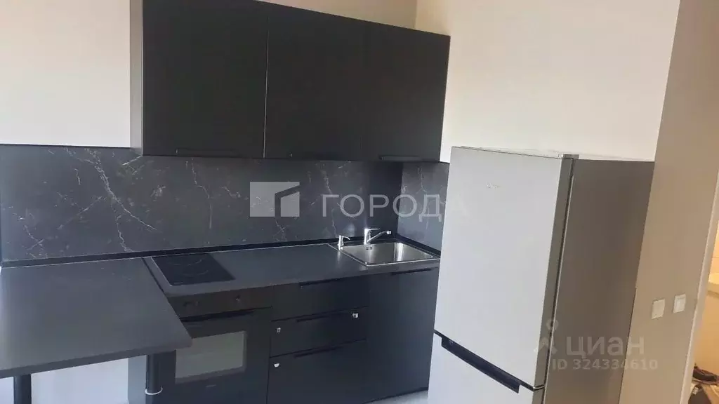 Студия Новосибирская область, Новосибирск ул. Никитина, 10 (25.0 м) - Фото 1