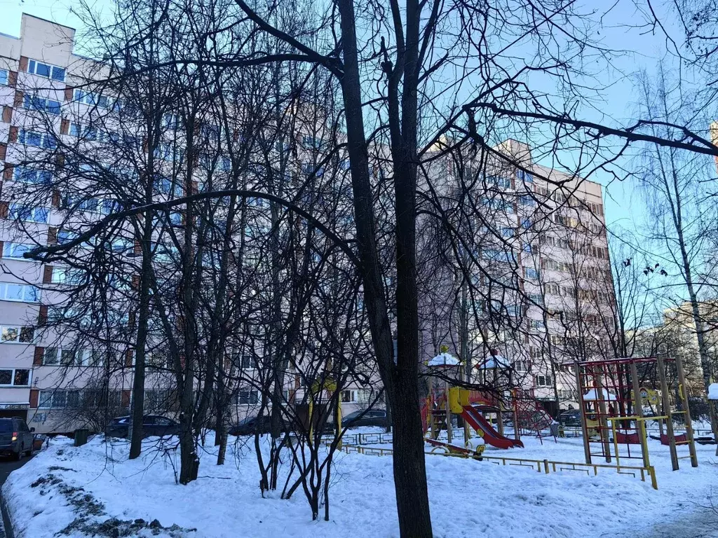 1-к кв. Санкт-Петербург просп. Просвещения, 24/2 (32.5 м) - Фото 1