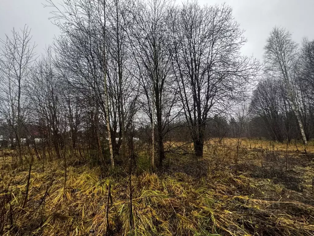 Участок в Московская область, Рузский муниципальный округ, д. Булыгино ... - Фото 1