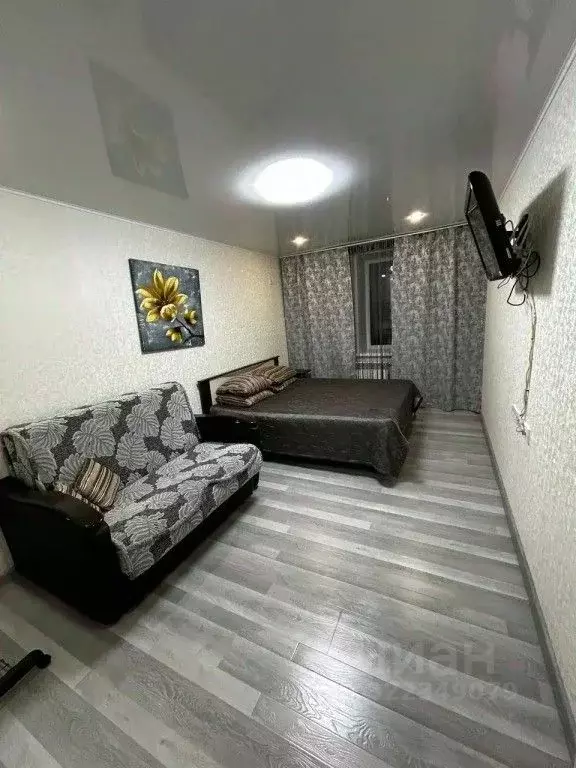 1-к кв. Саратовская область, Саратов ул. Лопатина Гора, 14к1 (31.0 м) - Фото 2