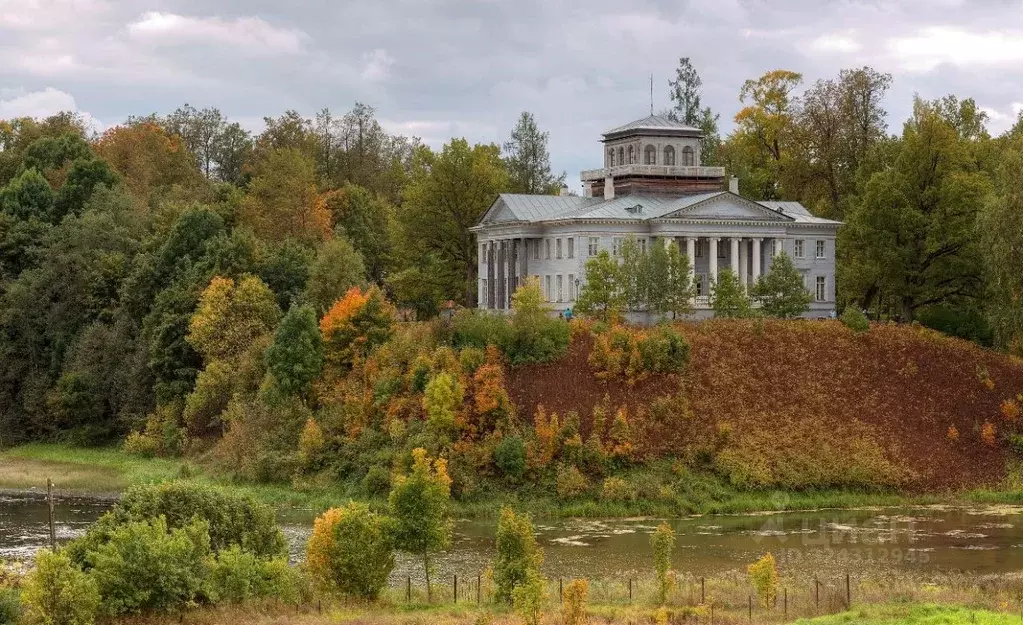 Участок в Ленинградская область, Гатчинский муниципальный округ, с. ... - Фото 2