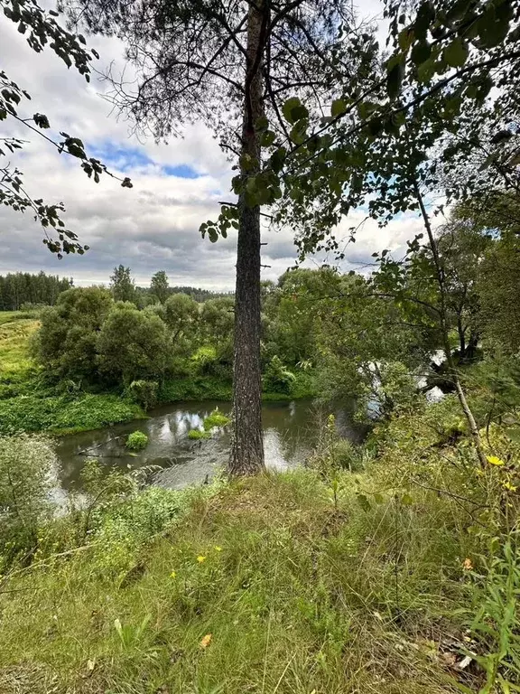 Участок в Московская область, Щелково городской округ, д. Каблуково  ... - Фото 2