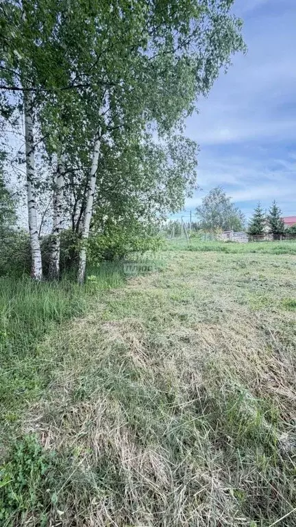 Участок в Московская область, Талдомский городской округ, с. Великий ... - Фото 2