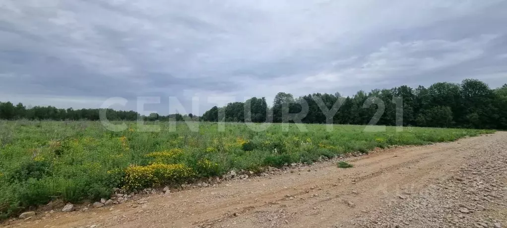 Участок в Калужская область, Совхоз Боровский с/пос, д. Уваровское ул. ... - Фото 0