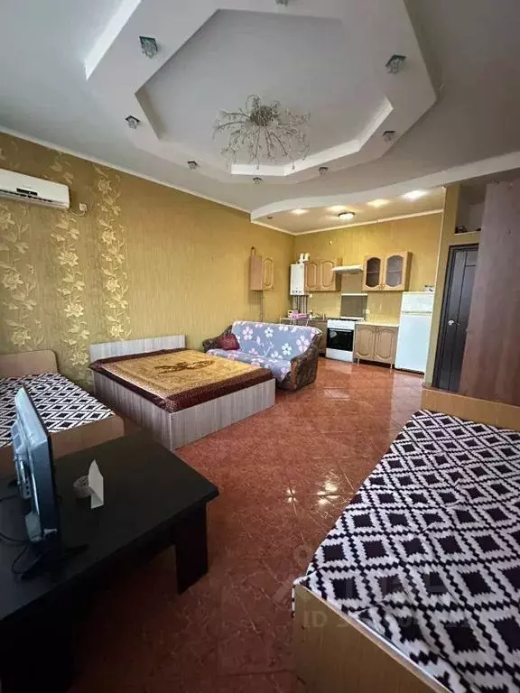 Студия Краснодарский край, Сочи ул. Ленина, 256/2 (37.0 м) - Фото 1