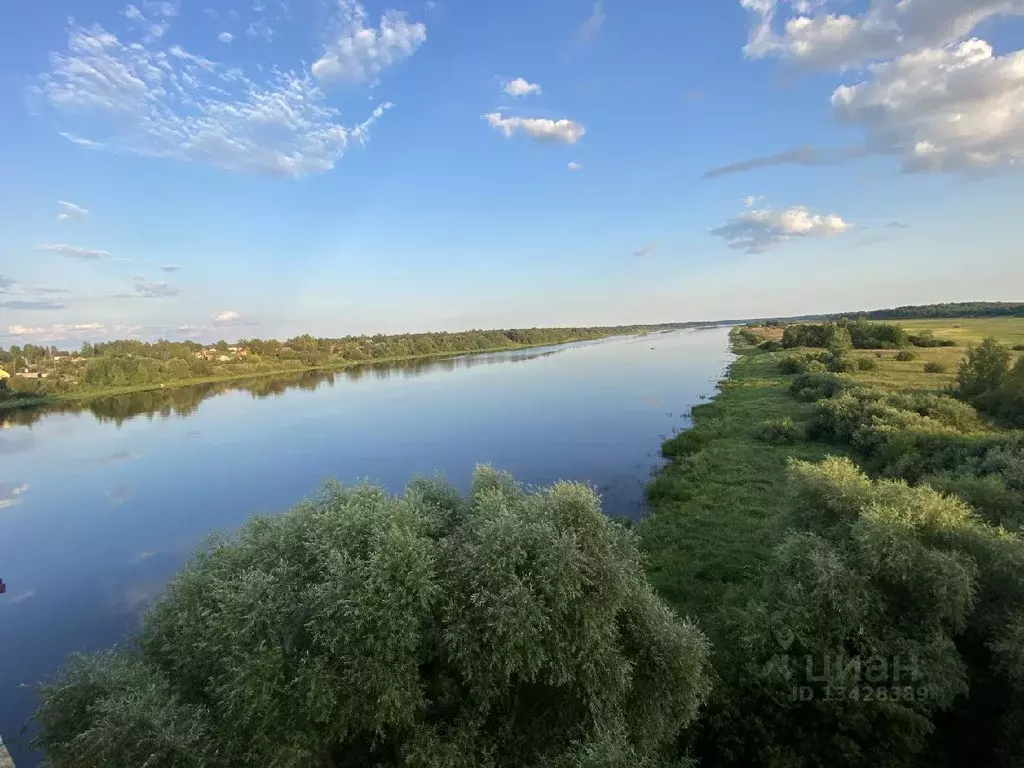 Участок в Новгородская область, Чудовский район, Трегубовское с/пос, ... - Фото 0