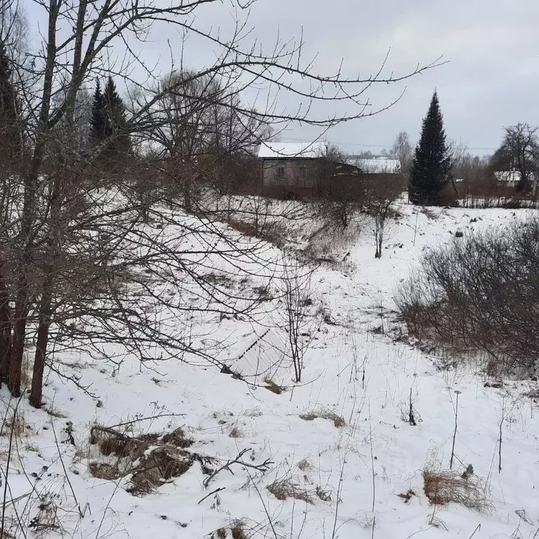 Участок в Московская область, Ступино городской округ, д. Антипино  ... - Фото 0