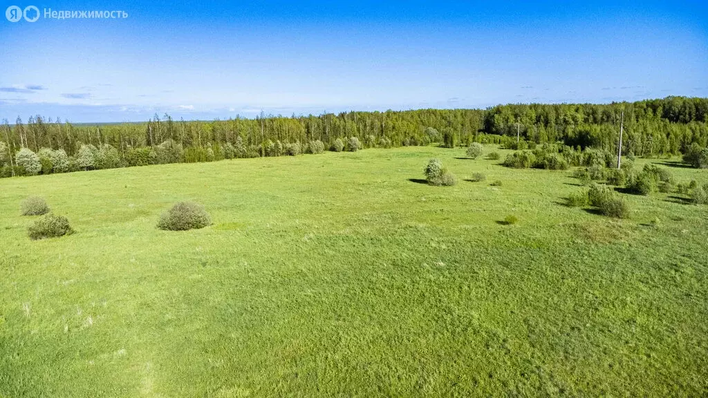 Участок в Рахьинское городское поселение, массив Ириновка (6 м) - Фото 0