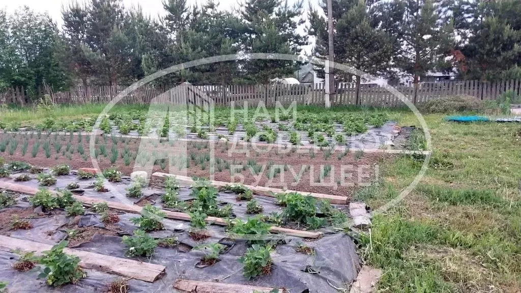 Дом в Пермский край, Чусовской муниципальный округ, с. Верхнее Калино ... - Фото 2